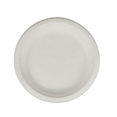 Disposable serving Plate - 7in - Pack of 25