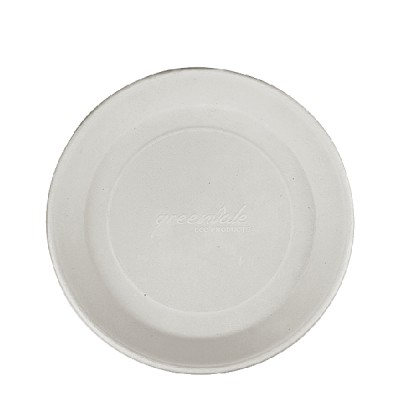 Disposable serving Plate - 12in - Pack of 25